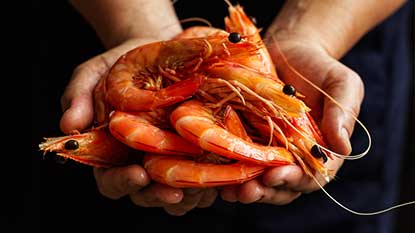 Case study: The Australian Council of Prawn Fisheries