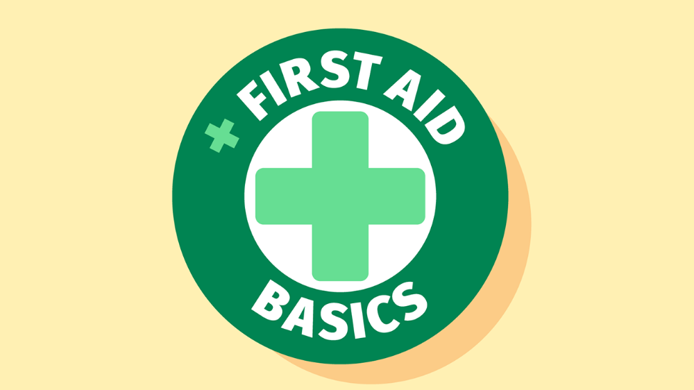 Screensot 1 of First Aid Basics online course 