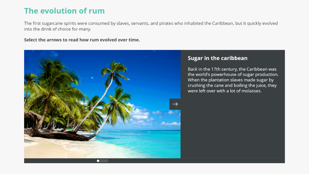 Screensot 3 of Introduction to Rum online course 