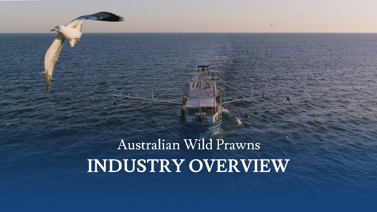 Screensot 1 of Australian Wild: Prawns Industry Overview online course 