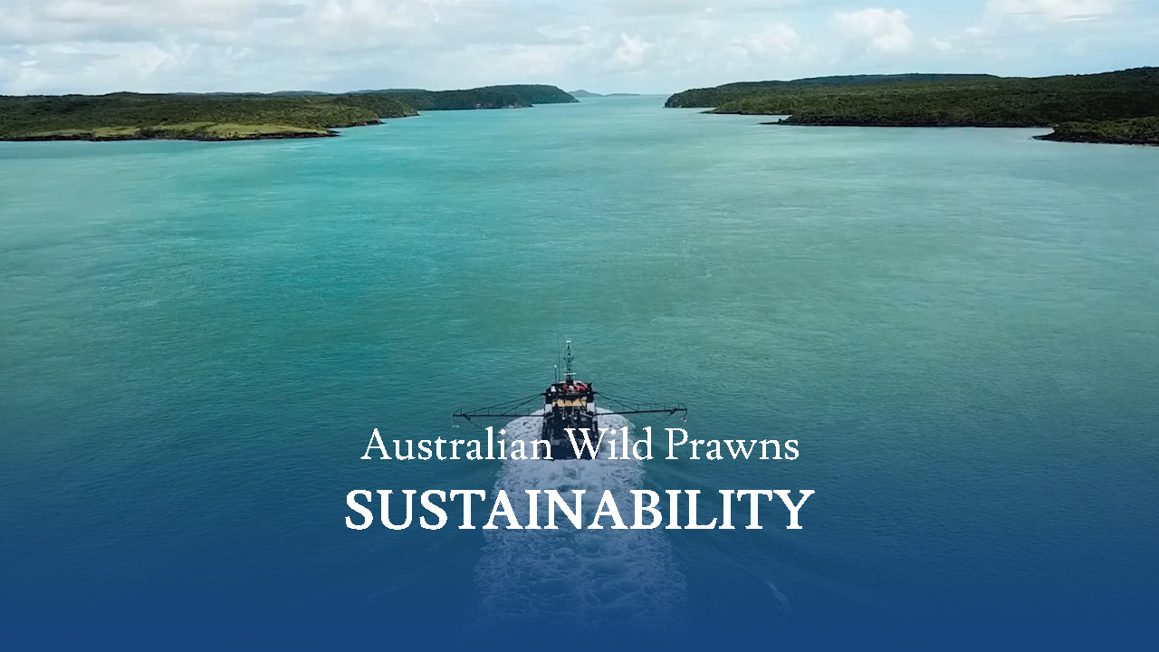 Screensot 1 of Australian Wild Prawns: Sustainability online course 