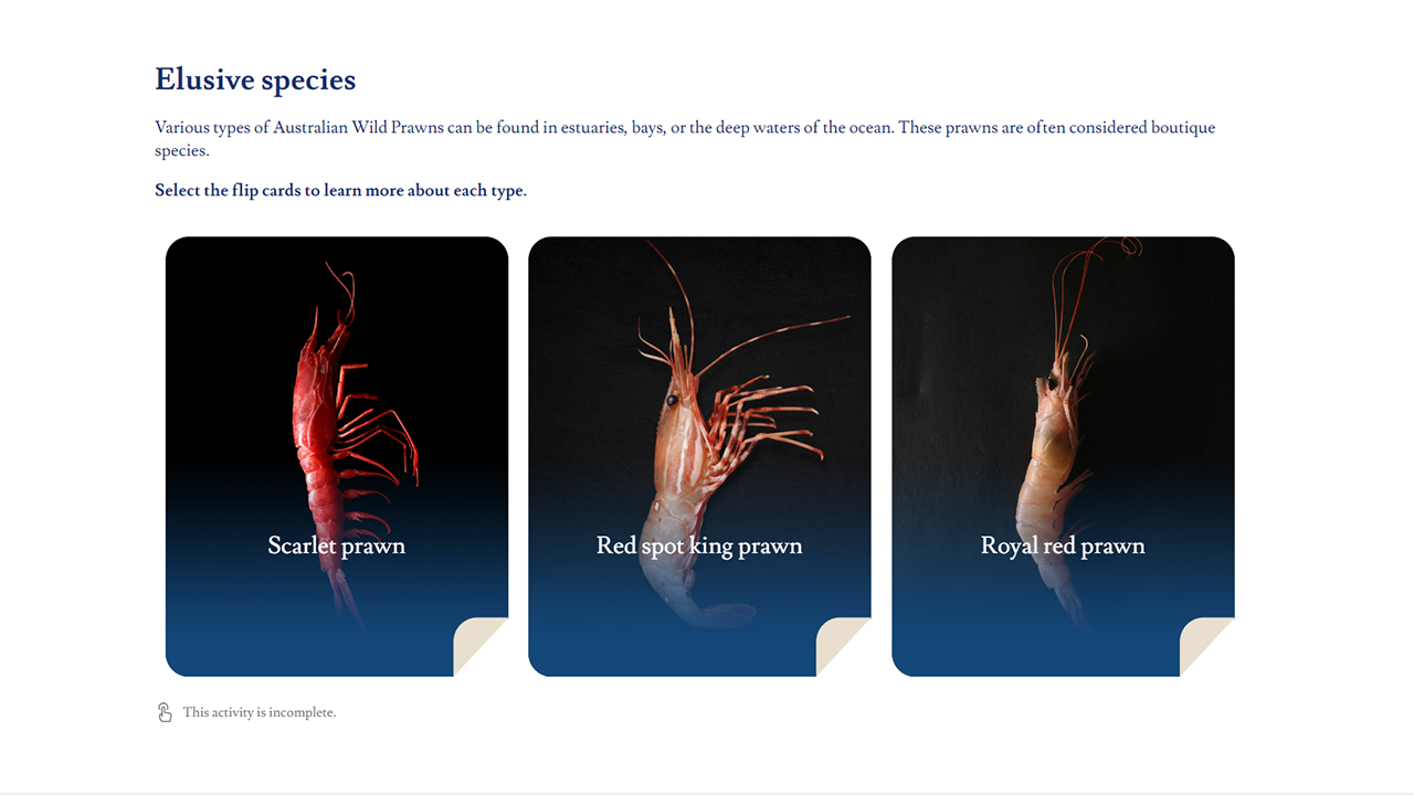 Screensot 3 of Australian Wild: Prawns Industry Overview online course 