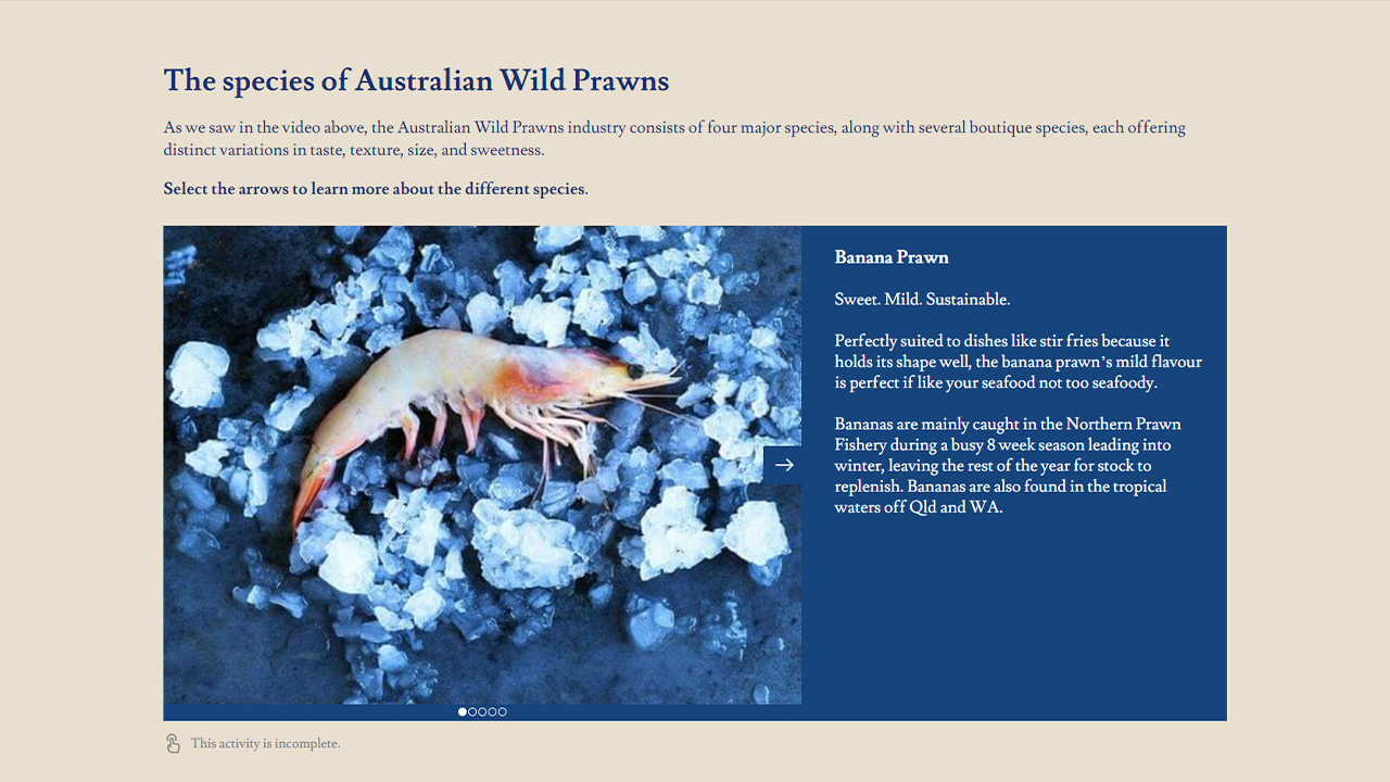 Screensot 4 of Australian Wild: Prawns Industry Overview online course 