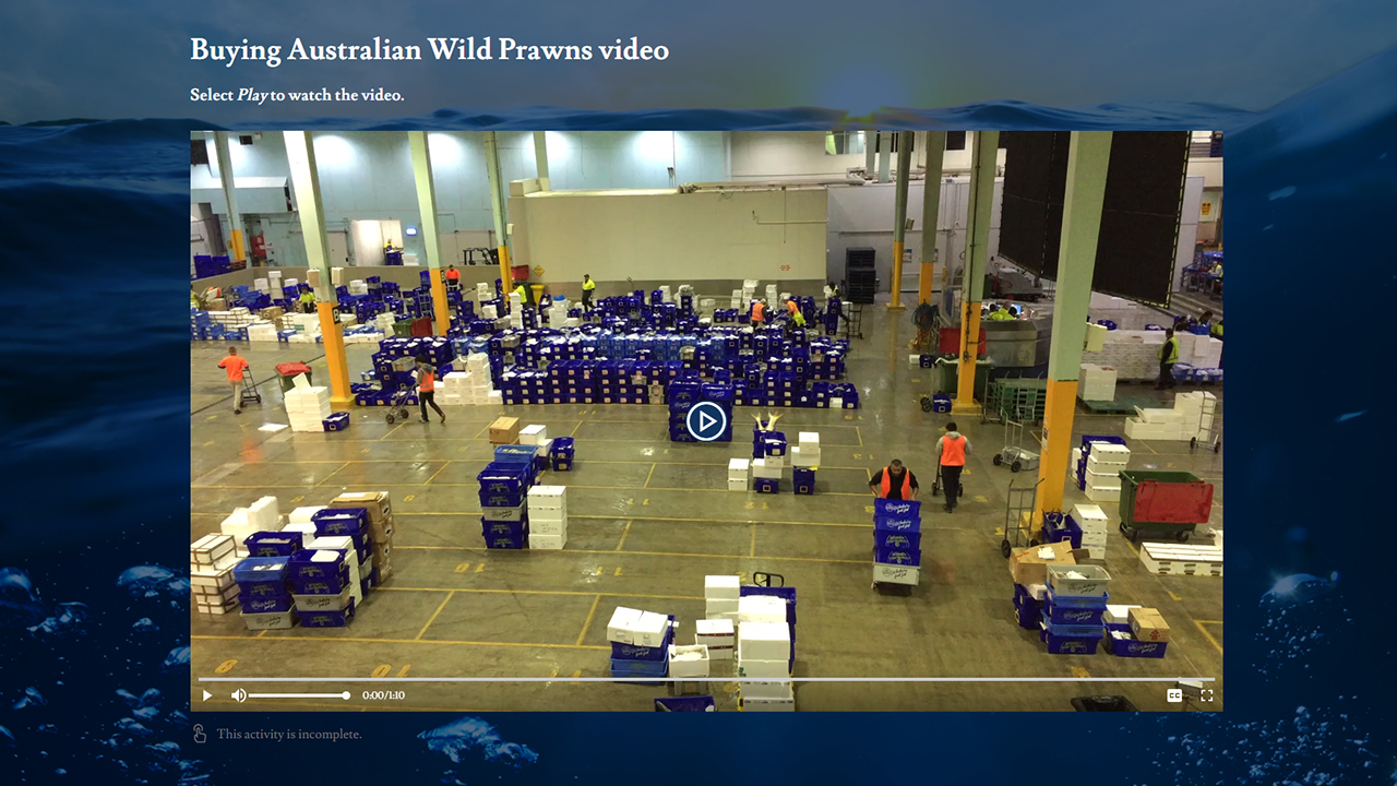 Screensot 4 of Australian Wild Prawns: Buying Wild Prawns online course 