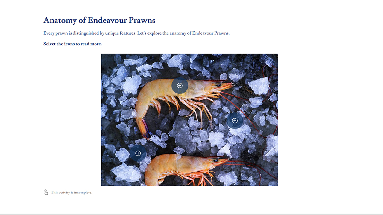 Screensot 2 of Australian Wild Prawns: Endeavour Prawns online course 
