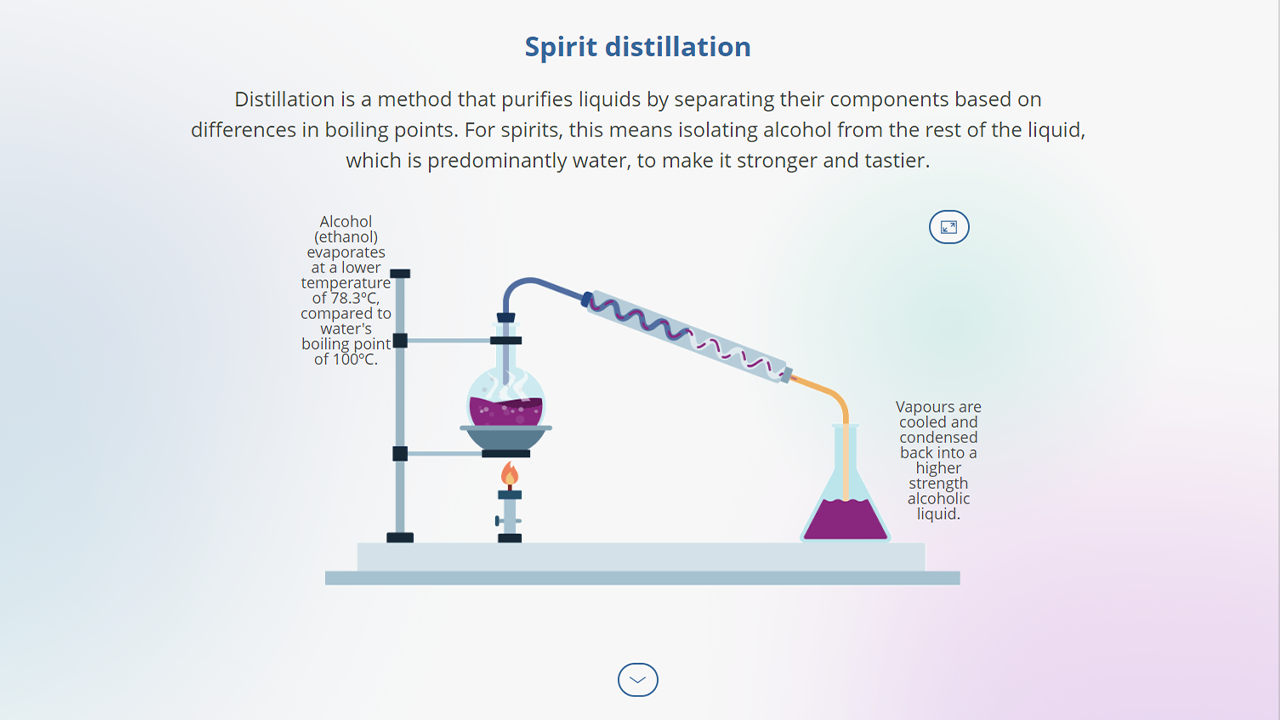 Screensot 2 of Bar Bites: Distillation online course 
