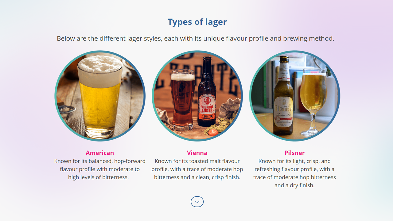 Screensot 4 of Bar Bites: Ales and Lagers online course 