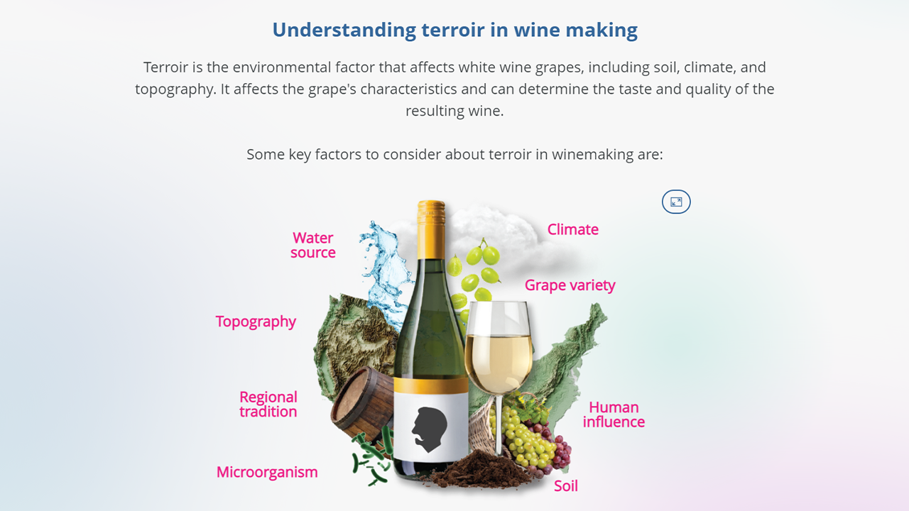 Screensot 4 of Bar Bites: White Wine online course 