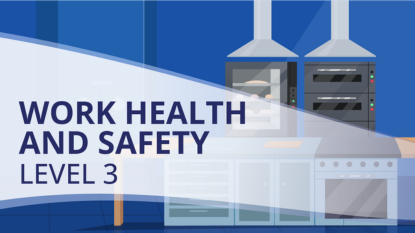 Work Health and Safety: Level 3