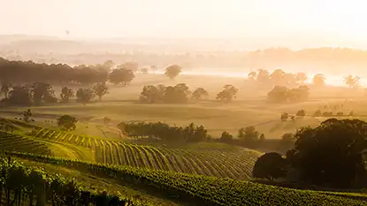 Wine Australia: Hunter Valley