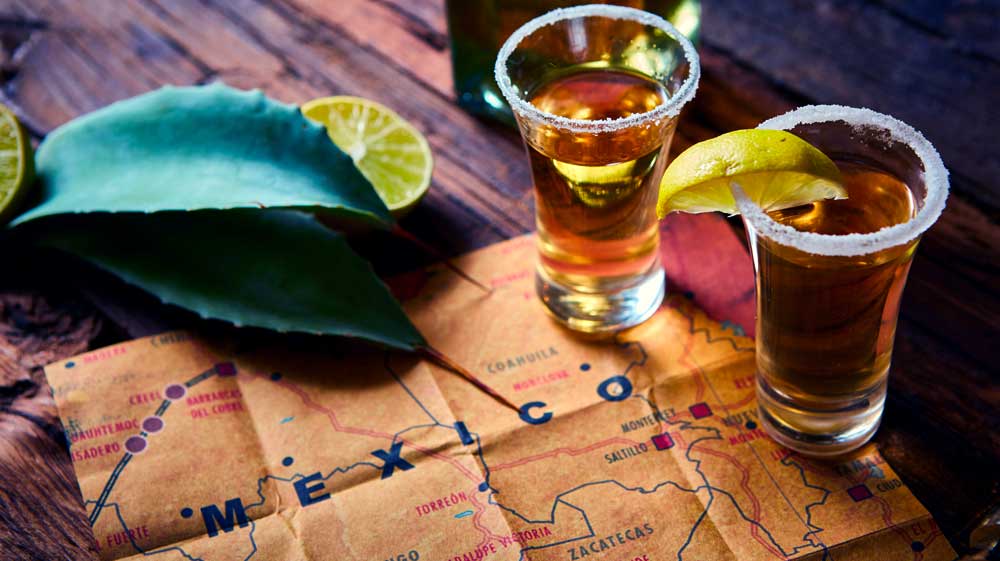 Screensot 1 of Introduction to Tequila and Mezcal online course 