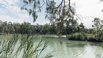 Wine Australia: Riverland, Riverina and Murray Darling